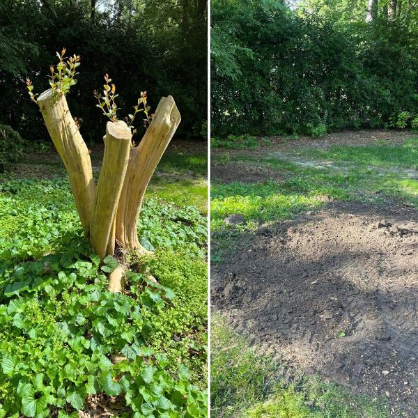 Raleigh Stump Grinding