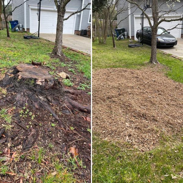 Raleigh Stump Grinding