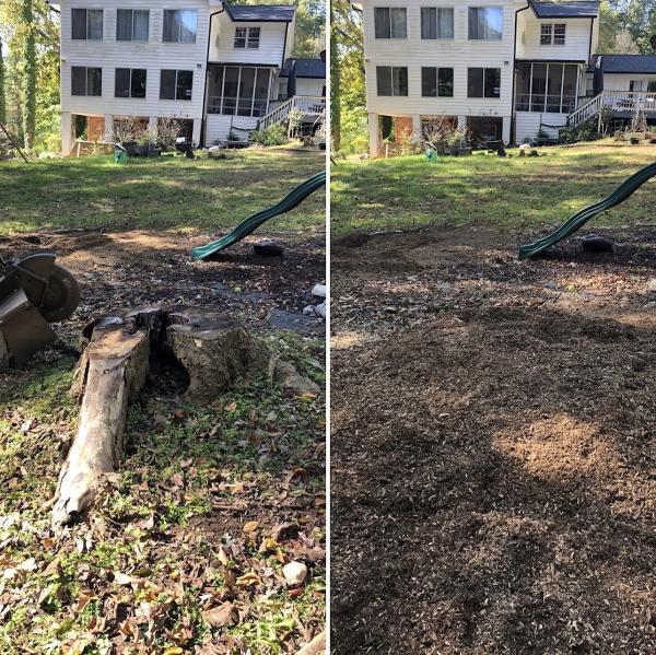 Raleigh Stump Grinding