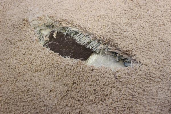 Philadelphia Carpet Repair & Cleaning