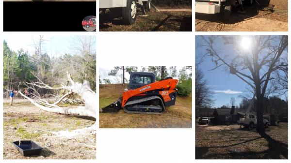 East Alabama Tree Service LLC