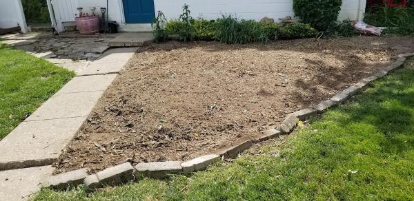 Columbus Tree Services