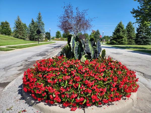Indy Turf and Landscape