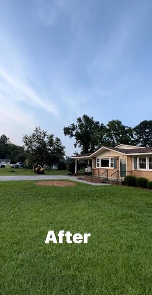 Med's Tree Removal & Landscaping