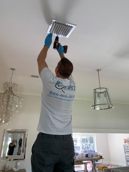 Mold Response Team LLC