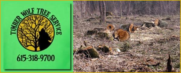 Timber Wolf Tree Service