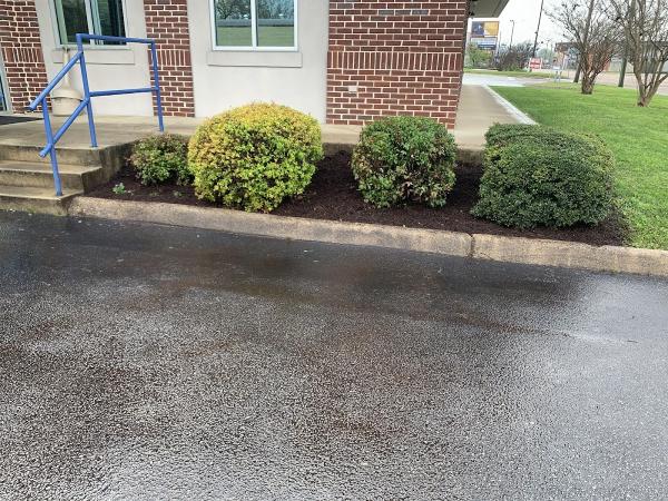 Level 5 Lawn Care