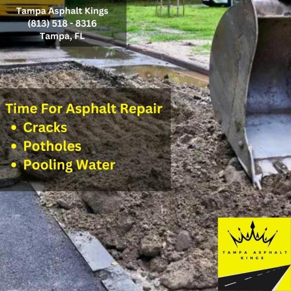 Tampa Asphalt Kings