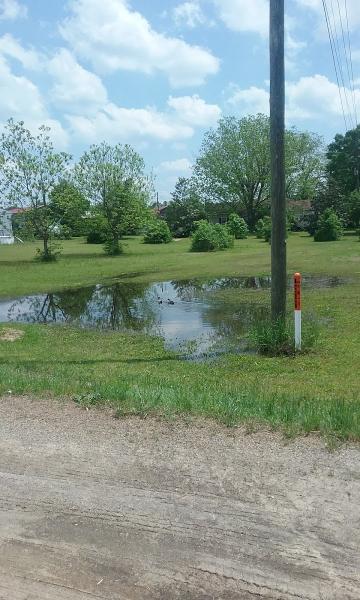 Stallings Septic Tank Cleaning