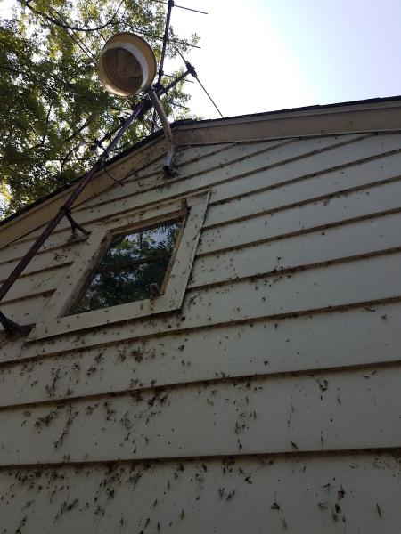 Wash Away Power Washing