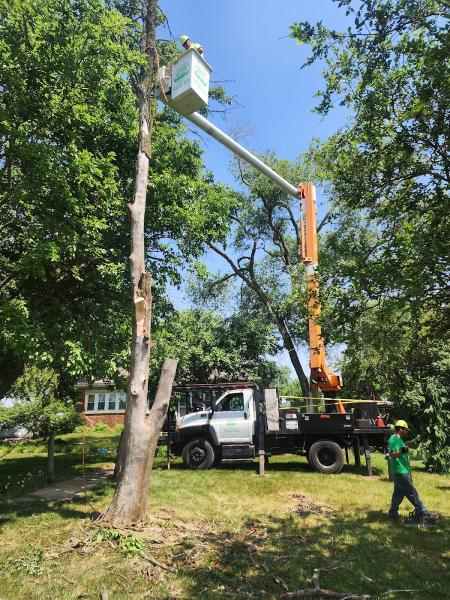 Briggs Tree Service