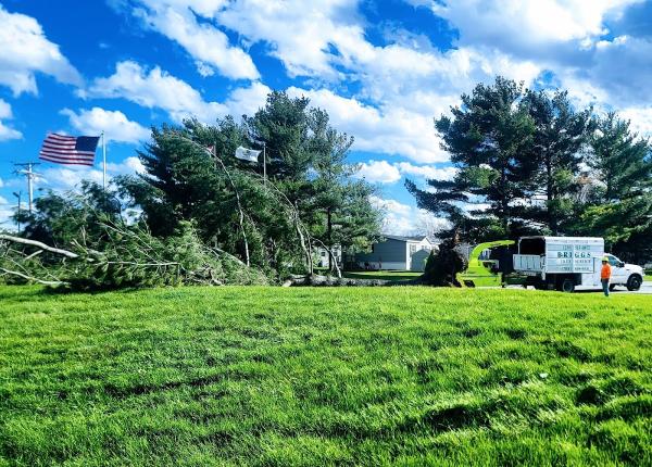 Briggs Tree Service