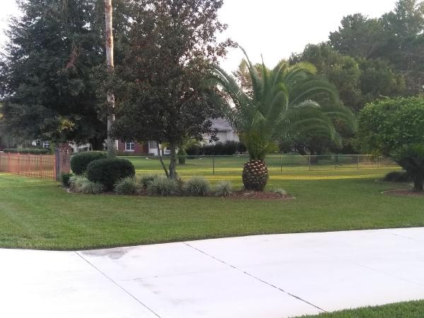 Jdogg'z Ultimate Lawnscaping
