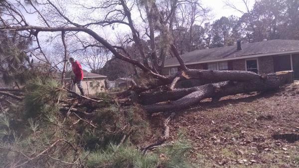 Nix Tree Service