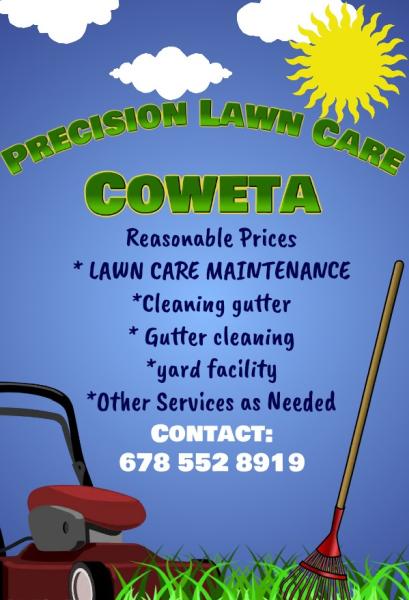 Precision Lawn Care
