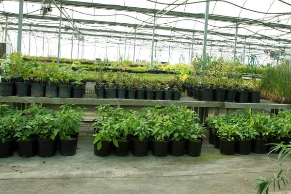 Aquatic Resource Restoration Company