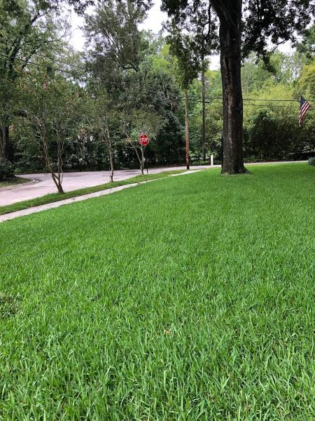 North Florida Lawn & Pest