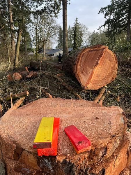 M&R Tree Services