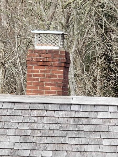 Compass Wildlife and Pest Solutions