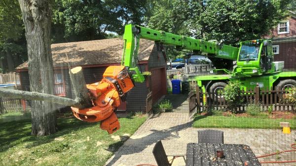 Wood Land Tree & Landscape Llc