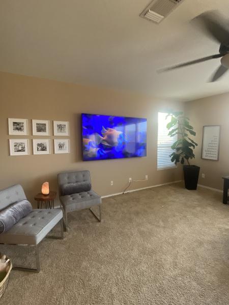 Space City TV Mounting