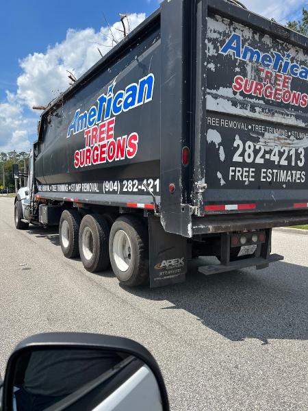 American Tree Surgeons