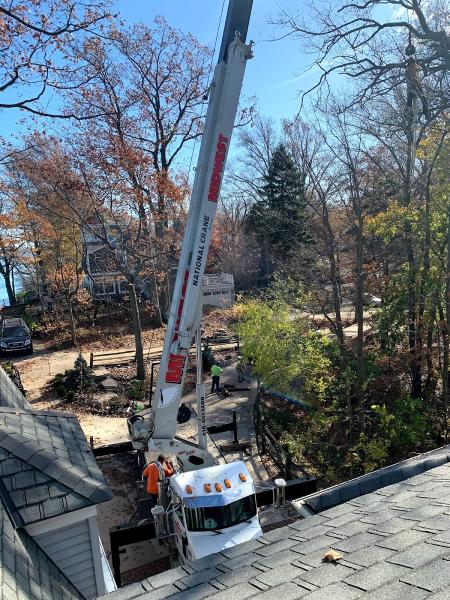Icon Tree Services