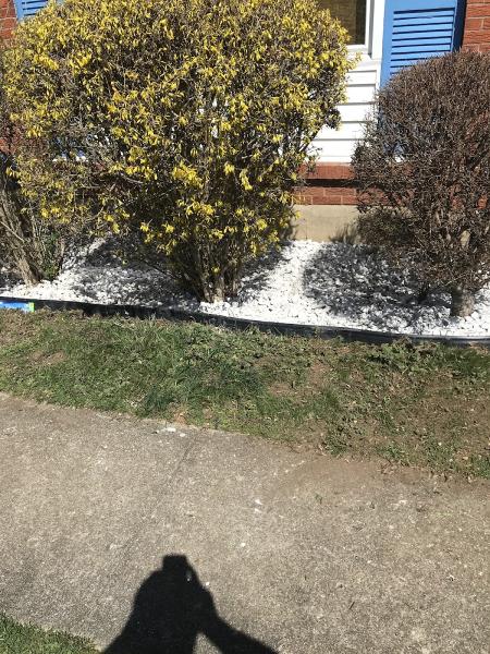 Residential Lawn Care