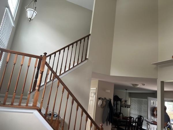 Colormax Painters