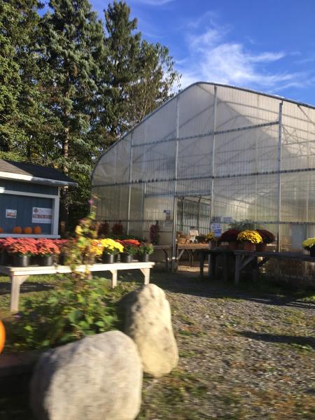 Kabza Vegetable Farm