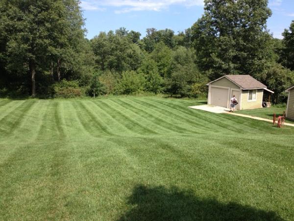 A Holly Lawn Care