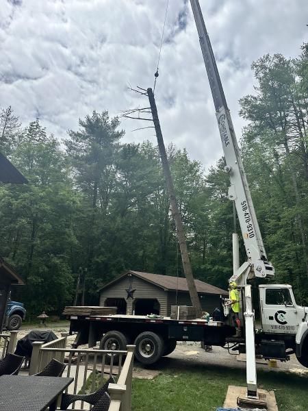 Constable Tree Service