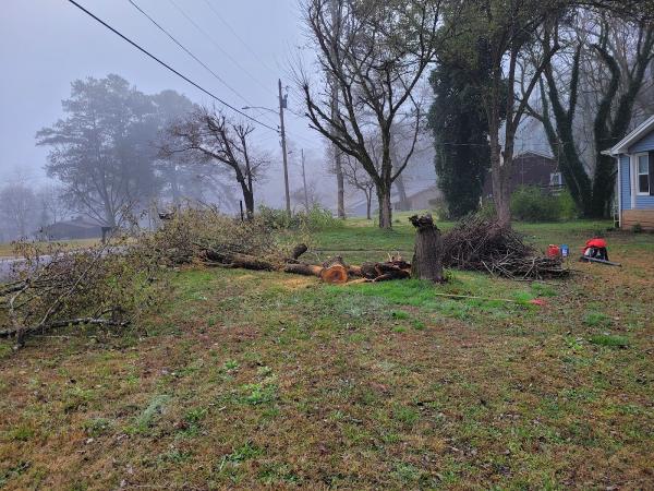 Atlanta Tree Professionals