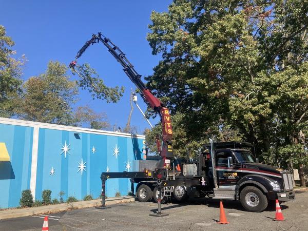 Raritan Valley Tree Service