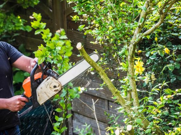 Daveastating Lawn Care