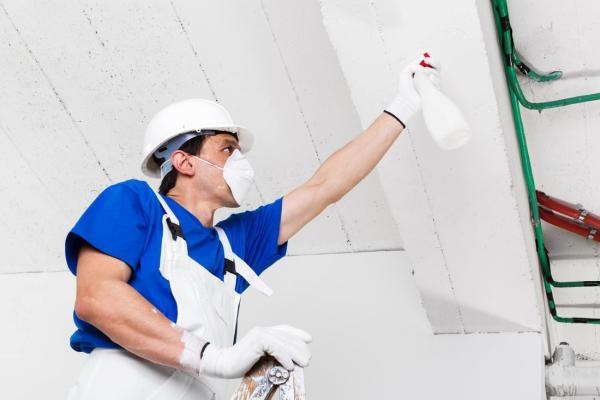 Carmel's Mold Removal Experts