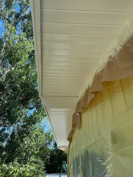 Montana PRO Painters