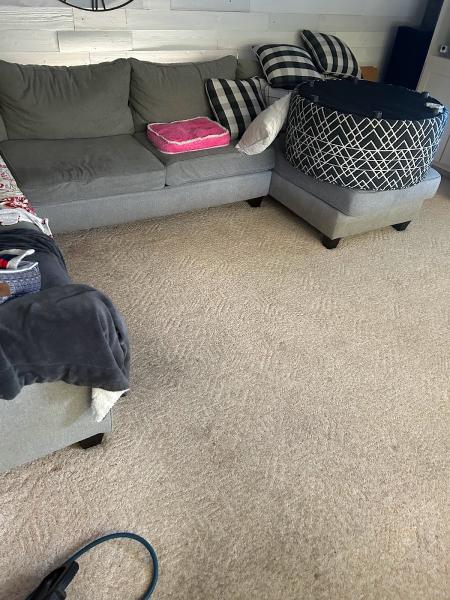 Archers Carpet Cleaning
