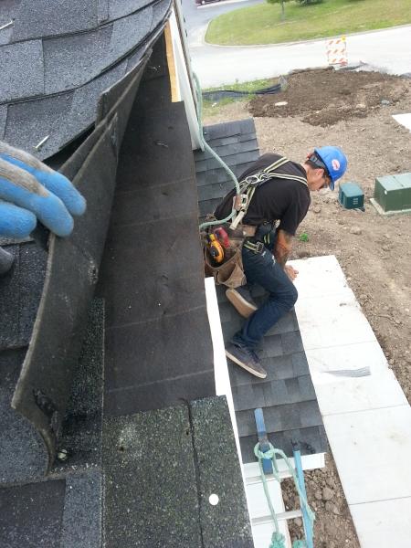 Rooferdave Roof Cleaning