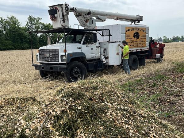 Miller's Tree and Outdoor Service