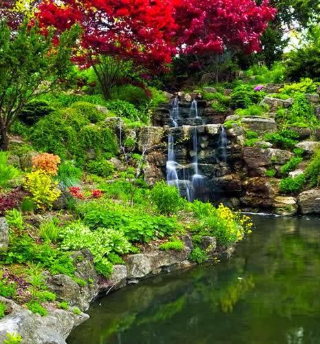 Verns Landscape