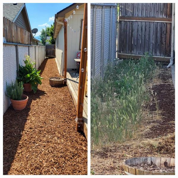 Turner Lawn and Care