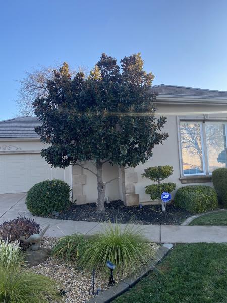 Titan Tree Service