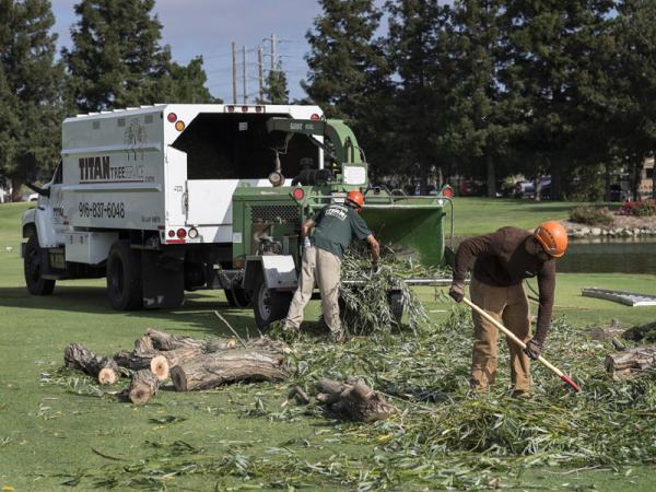 Titan Tree Service