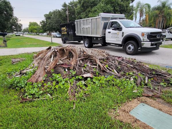 Logan Tree and Lawn Services