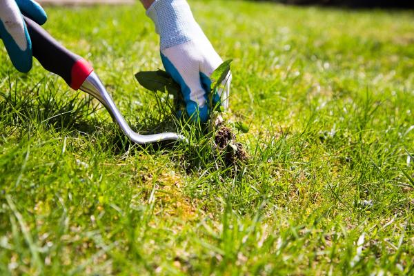 Ground Level Landscaping & Irrigation