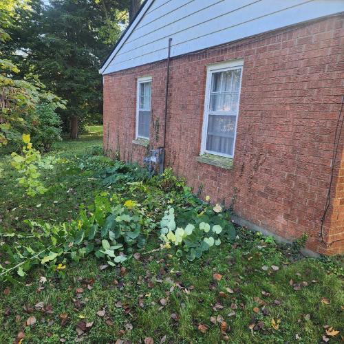 Davidson Handyman Services