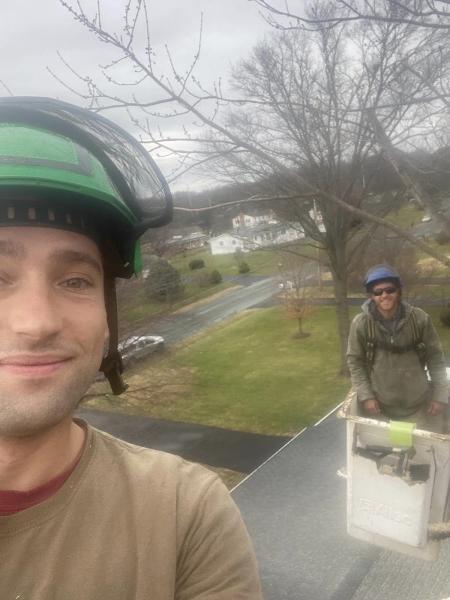 Greeley Tree Service