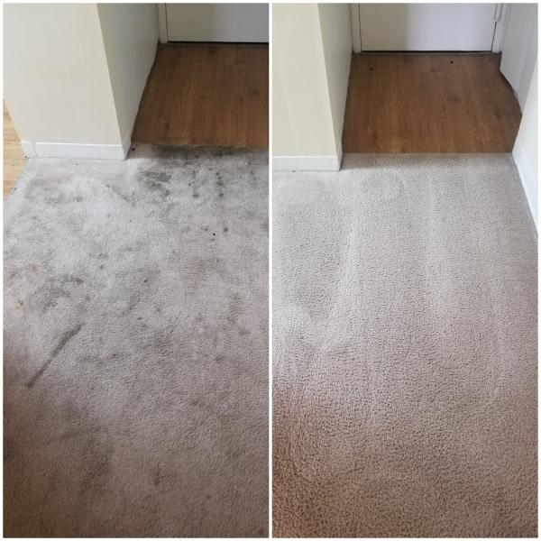 Carpetfellas