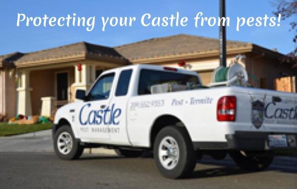 Castle Pest Management Inc.